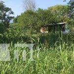 Foto: Macabro hallazgo: Una bebé abandonada en predios baldíos en Diriamba / TN8