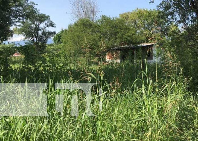 Foto: Macabro hallazgo: Una bebé abandonada en predios baldíos en Diriamba / TN8