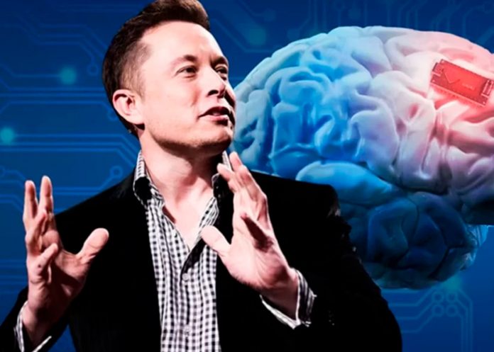 2 Foto: Increíble chip de Neuralink en humanos /cortesía