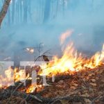 Estelí fortalece la protección forestal con lanzamiento del plan prevención de incendios Foto: Estelí fortalece la protección forestal con lanzamiento del plan prevención de incendios/TN8