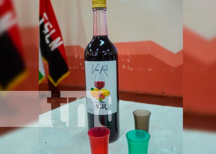 2 Foto: ¡Masaya se prepara para exportar y exploran oportunidades en el TLC con China!/TN8