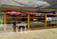 Inauguran la 19ª edición de la Feria Nacional Agropecuaria Ríos de Leche en Chontales Inauguran la 19ª edición de la Feria Nacional Agropecuaria Ríos de Leche en Chontales