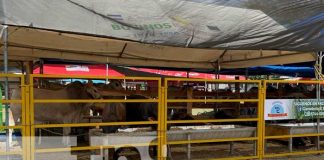 Inauguran la 19ª edición de la Feria Nacional Agropecuaria Ríos de Leche en Chontales