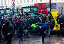 Agricultores exigen cambios frente a la Comisión Europea Foto: Protestas agrícolas en Europa /cortesía