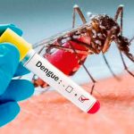 Dengue arrasa en Perú con aumento del 100% en casos Foto: Perú al borde del dengue /cortesía