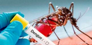 Foto: Perú al borde del dengue /cortesía
