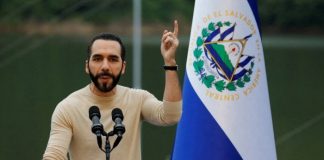 Foto: Nicaragua felicita al Hermano Presidente Nayib Bukele por el Proceso Electoral / Cortesía
