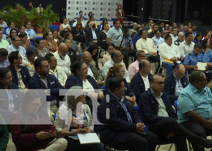 3 Foto: El Consejo de la Dirección de Universidades fortalece las nuevas gestiones Universitarias /Tn8