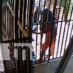Video: Sujeto es captado al robar en una vivienda en Juigalpa Foto:Video: Sujeto es captado al robar en una vivienda en Juigalpa/TN8