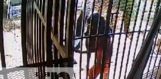 Foto:Video: Sujeto es captado al robar en una vivienda en Juigalpa/TN8