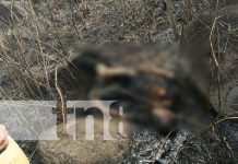Adolescente de 14 años muere en un incendio en Matagalpa Adolescente de 14 años muere en un incendio en Matagalpa