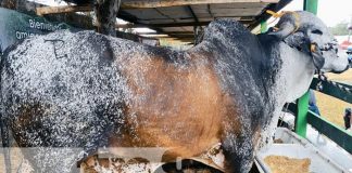 Lanzamiento de la 19ª Feria Nacional Agropecuaria Ríos de Leche en Chontales