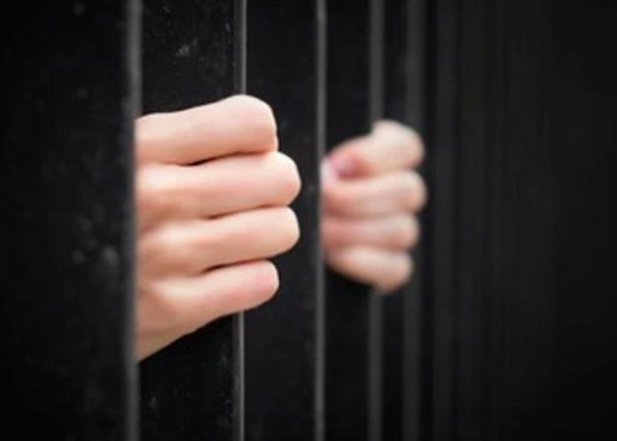 3 Se le acabó la fiesta a la banda delincuencial “Los Colombianos”