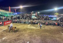 ¡Todo un éxito! Finaliza Feria Ganadera, Matagalpa 2024
