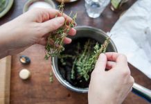 Sin tanto mate: Este es el remedio perfecto para limpiar tus pulmones Foto: Dieta para pulmones saludables /cortesía