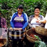Foto: Entregan oficialmente denominación de origen a caficultores de la Isla de Ometepe / TN8