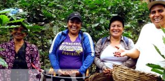 Foto: Entregan oficialmente denominación de origen a caficultores de la Isla de Ometepe / TN8