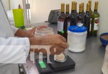 Hibiscos comenzará a producir mermeladas y concentrados de tamarindo en Nandaime Foto: Hibiscos comenzará a producir mermeladas y concentrados de tamarindo en Nandaime / TN8