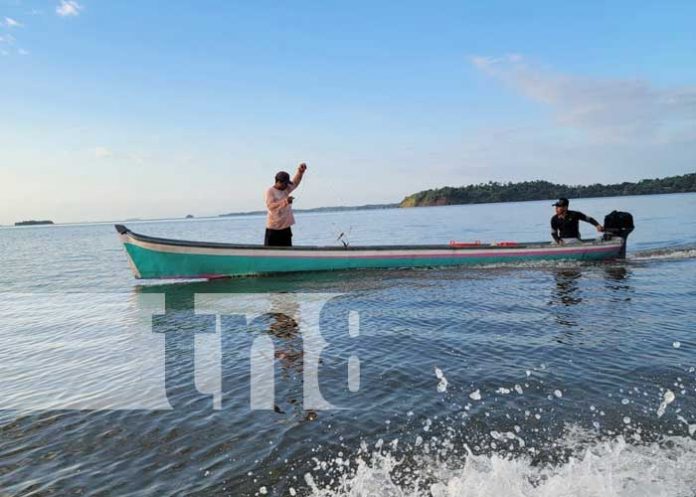 4 Foto: Pesca artesanal del Caribe Sur es el éxito rotundo de la empresa Caribbean Blue S.A./TN8