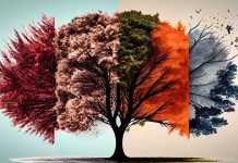 Foto: El poder del 29 de febrero /cortesía