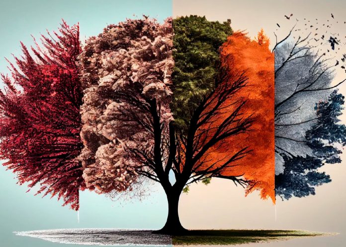 4 Foto: El poder del 29 de febrero /cortesía