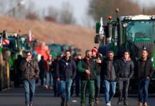 Francia: Agricultores protestan y Macron cancela debate Foto: Francia: Agricultores protestan y Macron cancela debate / Cortesía