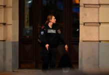 Austria en Alerta: Cinco Mujeres Asesinadas en un Día Foto: Austria en Alerta: Cinco Mujeres Asesinadas en un Día / Cortesía