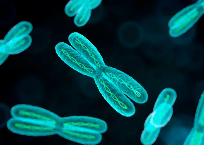 Marca-de-agua-TN8-(2)