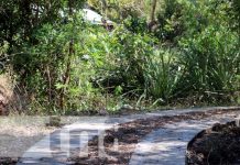 Inauguran proyectos de mejoramiento en caminos rurales en Somoto Foto: Nuevos caminos rurales para el desarrollo de Somoto / TN8