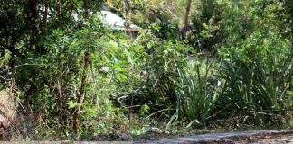 Foto: Nuevos caminos rurales para el desarrollo de Somoto / TN8