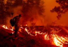 Incendio forestal en Argentina