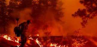 Incendio forestal en Argentina