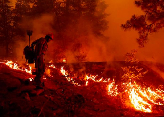 Incendio forestal en Argentina