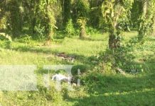 Prestó su motocicleta y resultó muerto tras accidente en el Caribe Sur Foto: Mortal accidente de tránsito en Kukra Hill, Caribe Sur de Nicaragua / TN8