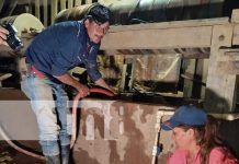 Güiriseros son el sostén de la economía de Bonanza, en el Caribe Norte Foto: Güiriseros, pulmón económico de Bonanza / TN8