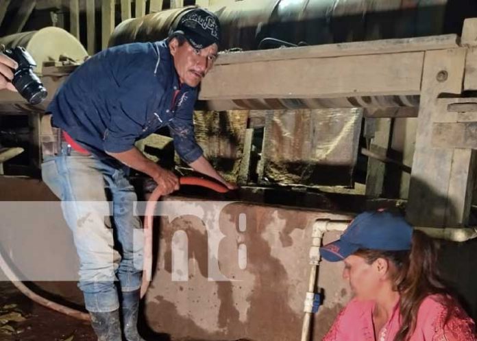 Foto: Güiriseros, pulmón económico de Bonanza / TN8