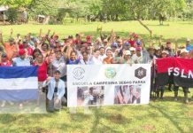 Universidad en el Campo: Educación gratuita en pueblos originarios del Caribe Sur Foto: Comunidades del Caribe Sur cuentan con acceso a la educación / TN8