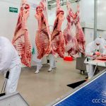 Ojo: Retiran lote de carne «defectuosa» de supermercados en Nicaragua Foto: Retiran lote de carnes defectuosas de supermercados en Nicaragua