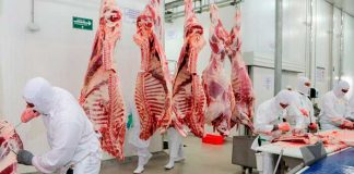 Foto: Retiran lote de carnes defectuosas de supermercados en Nicaragua