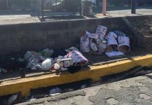 Farmacia y famosa heladería en Managua multados por «chanchos» Foto: Multas a negocios y empresas en Managua por contaminación ambiental / TN8