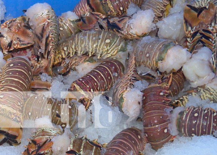 Mujeres valientes y negociantes que definen el empoderamiento