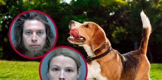 Arrestan a mujer por tener relaciones con su perro