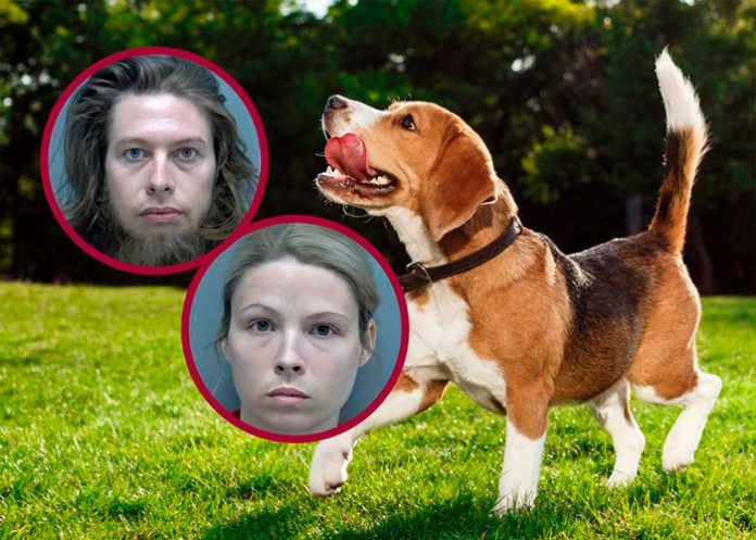 Arrestan a mujer por tener relaciones con su perro