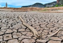 España se declara en emergencia por la «peor sequía del último siglo» La peor sequía del siglo en España