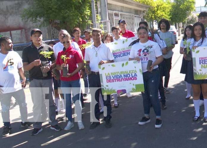 Foto: Reforestación y grafiti en honor al General Sandino / TN8