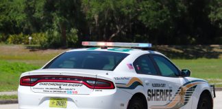 Desata una persecución "de película" en Florida