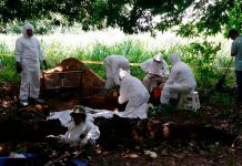 Hallan 11 cuerpos en una fosa de México