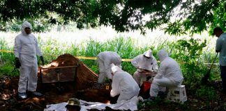 Hallan 11 cuerpos en una fosa de México