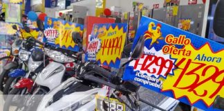 Foto: Grandes promociones con el Gallo Más Gallo