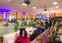 Granada es la sede del II Encuentro Nacional de Ciudades Creativas Foto: Granada, Ciudad Creativa / TN8